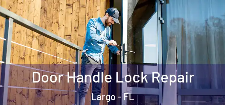 Door Handle Lock Repair Largo - FL