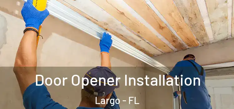 Door Opener Installation Largo - FL