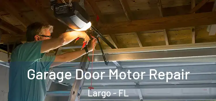  Garage Door Motor Repair Largo - FL