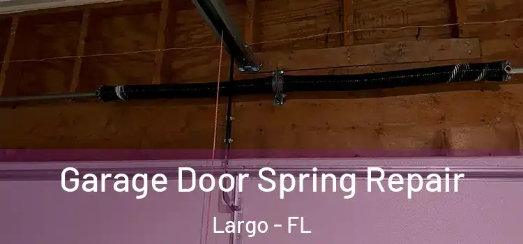  Garage Door Spring Repair Largo - FL