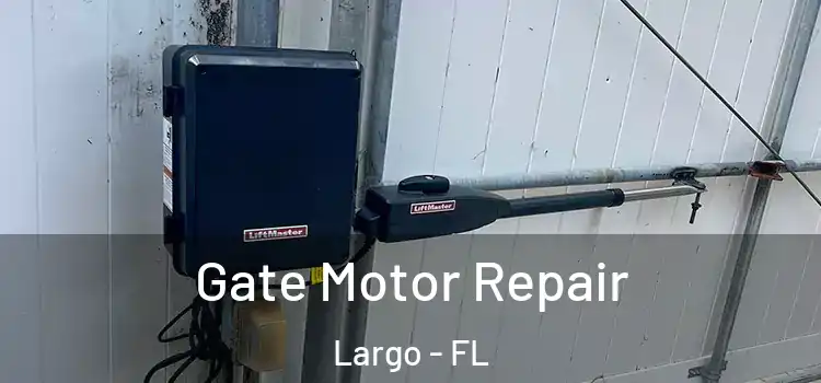 Gate Motor Repair Largo - FL