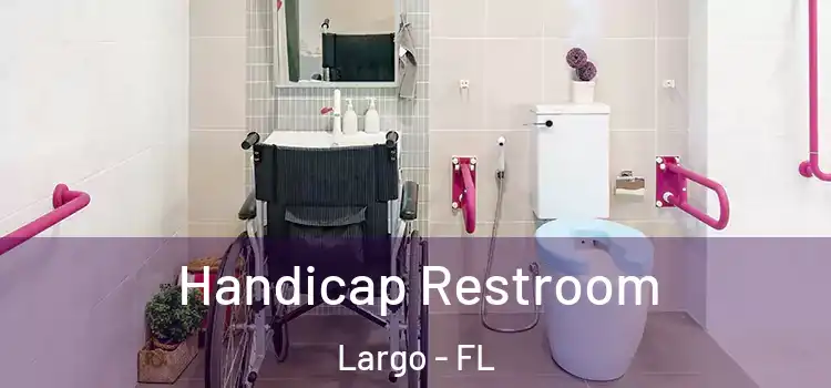 Handicap Restroom Largo - FL