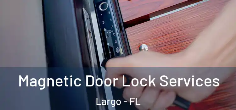 Magnetic Door Lock Services Largo - FL